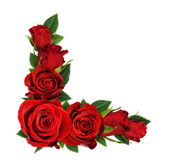 Red rose flowers in a corner floral arrangement isolated on white or transparent background