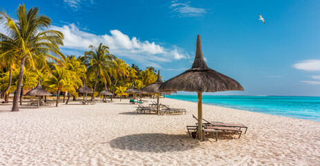 Palm trees on the tropical Le Morne beach, Mauritius. Tropical vacation background concept on Le...