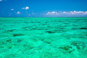 Water surface in vibrant green. View of a crystal clear sea water texture. View natural sea water,...