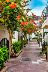 Street with blooming flowers in Puerto de Mogan, Gran Canaria, Spain. Favorite vacation place for tourists and locals on island. Puerto de Mogan with lots of bougainvillea flowers, Canary Island.