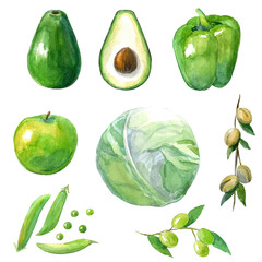 Watercolor green avocado, cabbage, pepper, peas, apple. Green fruits and vegetables on white.