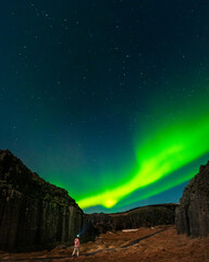Beautiful nature at Dwarf Crags Dverghamrar in south Iceland. Basalt formations in Dverghamrar in Iceland