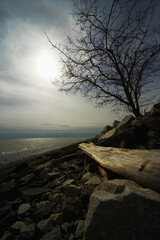 Beach Landscape