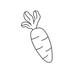 Vector isolated one single simple carrot doodle colorless black and white contour line easy drawing