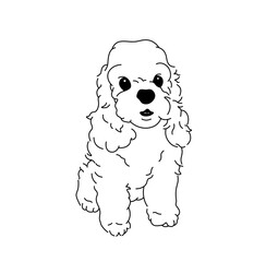 Vector isolated spaniel dog tattoo colorless black and white contour line easy drawing