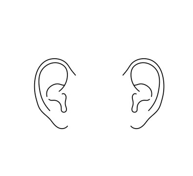 Vector isolated two pair human ears symmetrical  colorless black and white contour line easy drawing