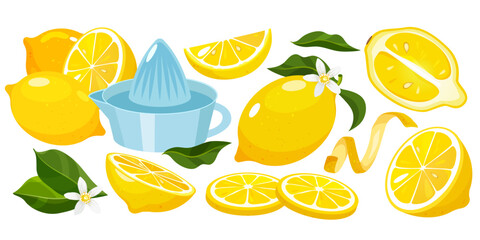 Vector cartoon set with fresh lemon fruits whole, half, slices, lemon cedar, blooming flowers, leaves, lemon squeezer isolated on white background.
