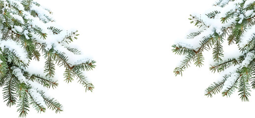 christmas tree branches