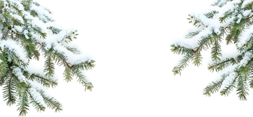 christmas tree branches