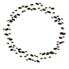 circle of beans