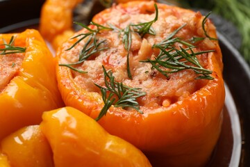 Tasty stuffed peppers with dill in pan, closeup