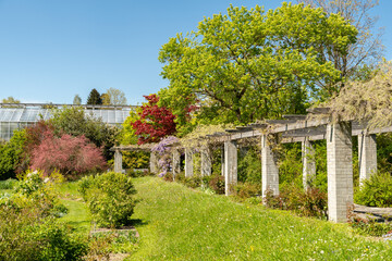 Botanical garden in Saint Gallen in Switzerland