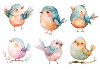 Fototapeta premium Watercolor Illustration of Birds. Set.