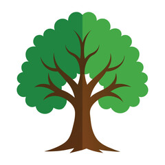 Oak tree icon vector design