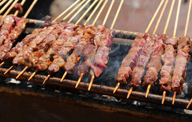 Arrosticini are a class of traditional dishes of skewered grilled meat typical of Abbruzzo and Molise regions in Italy