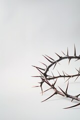 Crown of thorns depicted on white background. Banner-style illustration