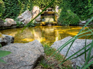 View through foliage over waterfall fountain amidst crawling greenery with water flowing into round-shaped pond with beautiful play of light and shade in Alexandria Park, Bila Tserkva.