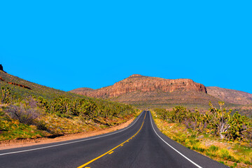 Picturesque Arizona Desert Roadway