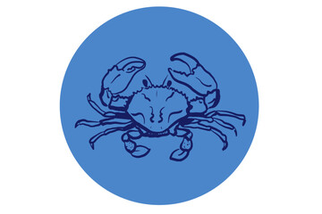 Crab in blue circle. Seafood simple vector icon. Hand drawn illustration. Ocean and sea delicacy symbol. Design for branding, restaurant logo and menu.