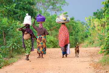 Fin de journée après le travail aux champs en Afrique de l'ouest, Togo, Sokodé © Loriaphotos