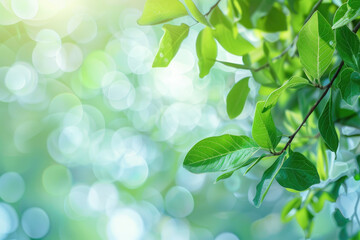 green leaves background, suitable for naturethemed designs, ecoconscious branding, or inspirational content creation.