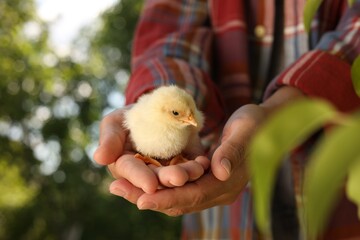 Woman with cute chick outdoors, closeup. Baby animal