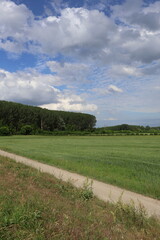 landscape with a sky