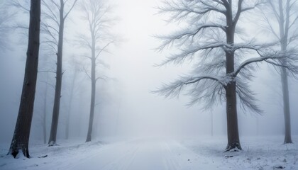 A tranquil snowy forest road enveloped in thick mist, with barren trees creating a serene and mysterious winter scene.