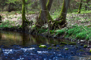 Rzeka