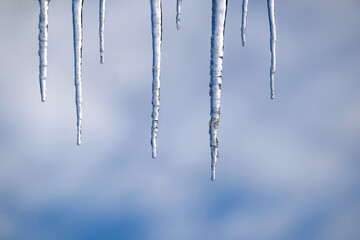 Long crystal icicles hanging down close-up before blurred blue sky with white fluffy clouds in...