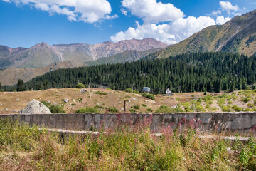 Fototapety na wymiar - Fototapeta24.pl