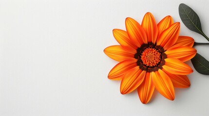  A single orange flower with a green center, featuring a leaf emerging from its heart, and an isolated green leaf originating from the flower's core - Powered by Adobe