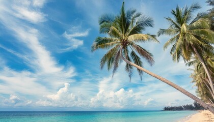 Palm tree in tropical beach blue summer sky for background. island travel vacation concept.