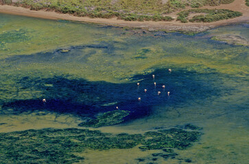 Saba island Zubair Group