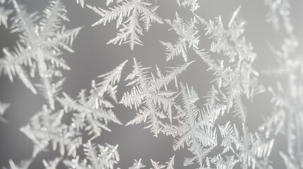 A macro shot of frost patterns on a window with a uniform grey background, showcasing the intricate crystal designs. 32k, full ultra HD, high resolution - Powered by Adobe