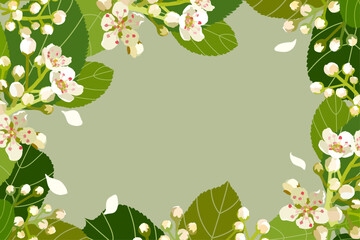 Frame with flowers in vector. Spring decor of hawthorn flowers in vector, flat style.
