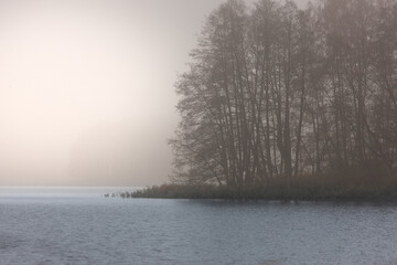 Mgła nad jeziorem