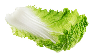 Chinese cabbage leaf isolated on transparent background.