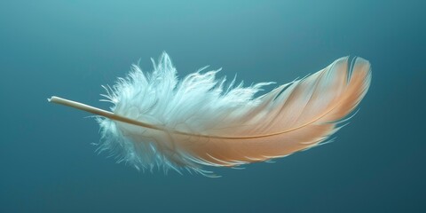 A single feather floating in the air with negative space