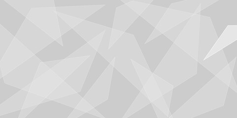 Abstract elegant background white and gray triangle texture. Abstract white and grey geometric overlapping line pattern abstract futuristic background design. data concept. vector illustration.