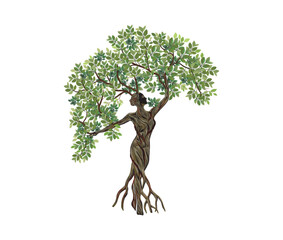 Nymph vector hand drawing.. Dryads woman tree illustrations, abstract human tree. 