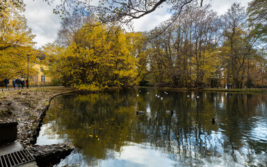 Trees in autumn in Oliwa Park, Baltic Coast © Michał Brzostowski 