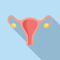 Fototapeta premium Illustration of the female reproductive system anatomy with uterus. Ovaries. Fallopian tubes. And other anatomical parts in a medical. Scientific. Designed for gynecological and healthcare purposes