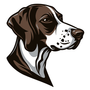 dog hound pointer logo illustration on white background