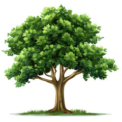 Free vector isolated tree on white background