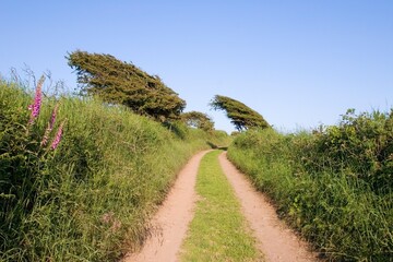 Boreen Near Ballyvoony, Copper Coast, Co Waterford, Ireland