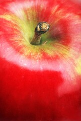 Closeup Of An Apple