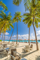 Empty beach with beach bar. Leisure loungers with sun beds and umbrellas. Tropical scene, luxury...