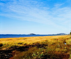 Shore Of The St. Lawrence River