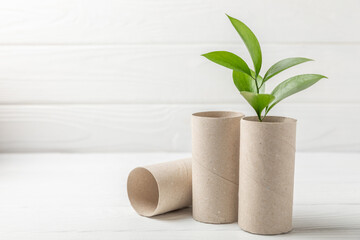 Empty toilet paper roll. Empty toilet paper rolls and plant for on white background. Paper tube of...